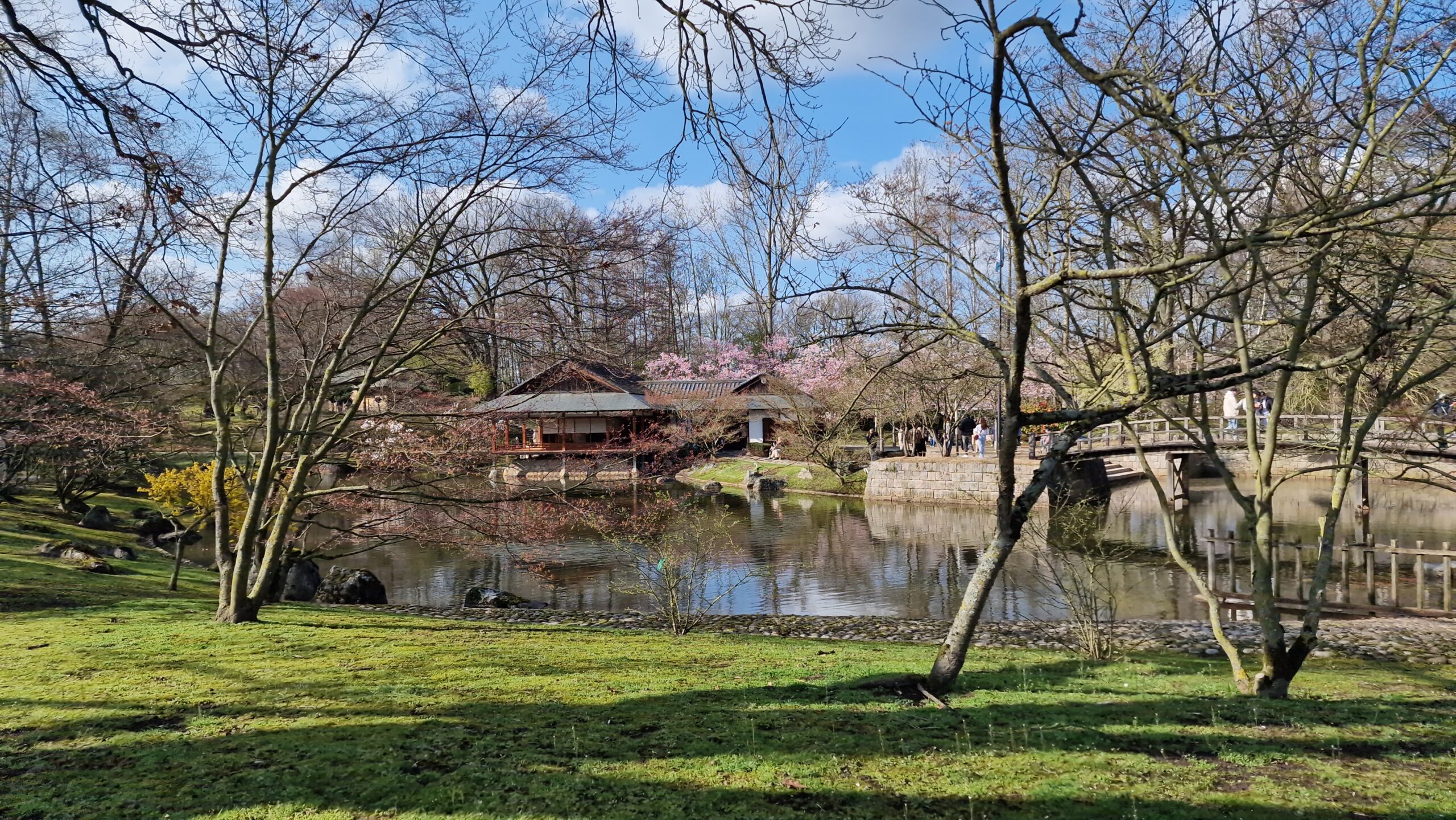 Japanese Garden Hasselt