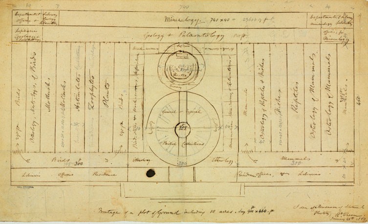 Idea of a Museum of Natural History, London, 1859, Sir Richard Owen